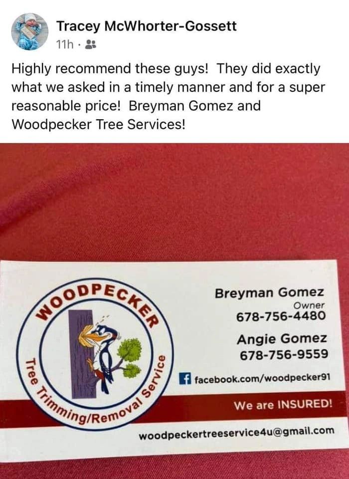 Tall pine tree removal performed safely by the Woodpecker crew in Cartersville, Georgia