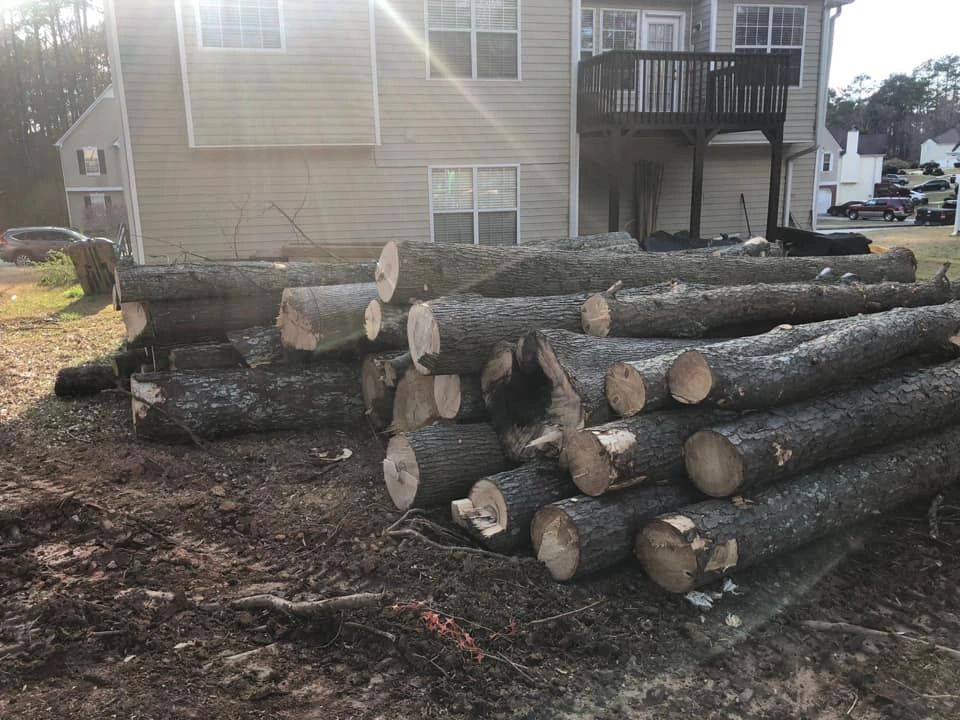 Woodpecker Tree Service professionals performing tree removal work in Cartersville, Georgia